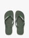 green oliv
