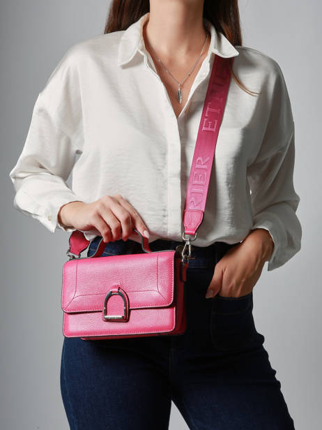 Small Leather Altesse Crossbody Bag Etrier Pink altesse EALT048S other view 1